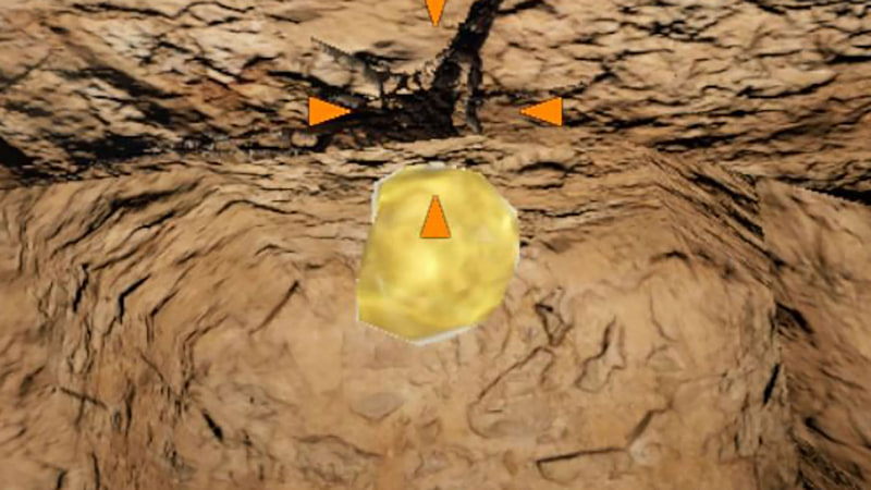 比較的柔らかい地層から発掘できることが多い「Expストーン」