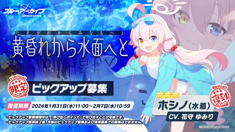 ブルー・アーカイブ ブルアカ 韓国限定 タペストリー ドレス ヒナ