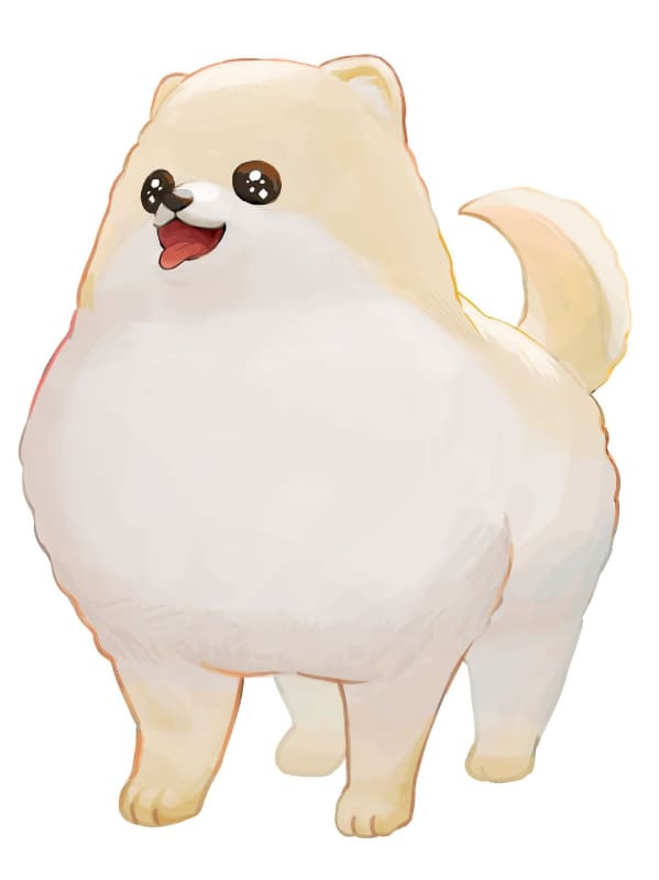 主人公はポメラニアン!?　走ってあばれておうちを汚しまくろう