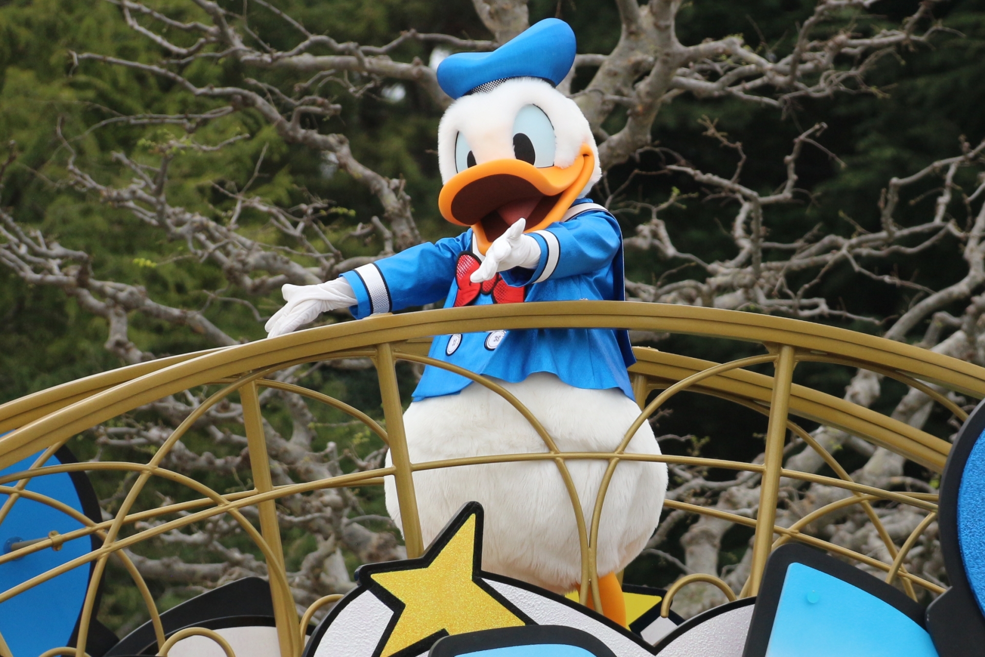 ドナルドのフロート