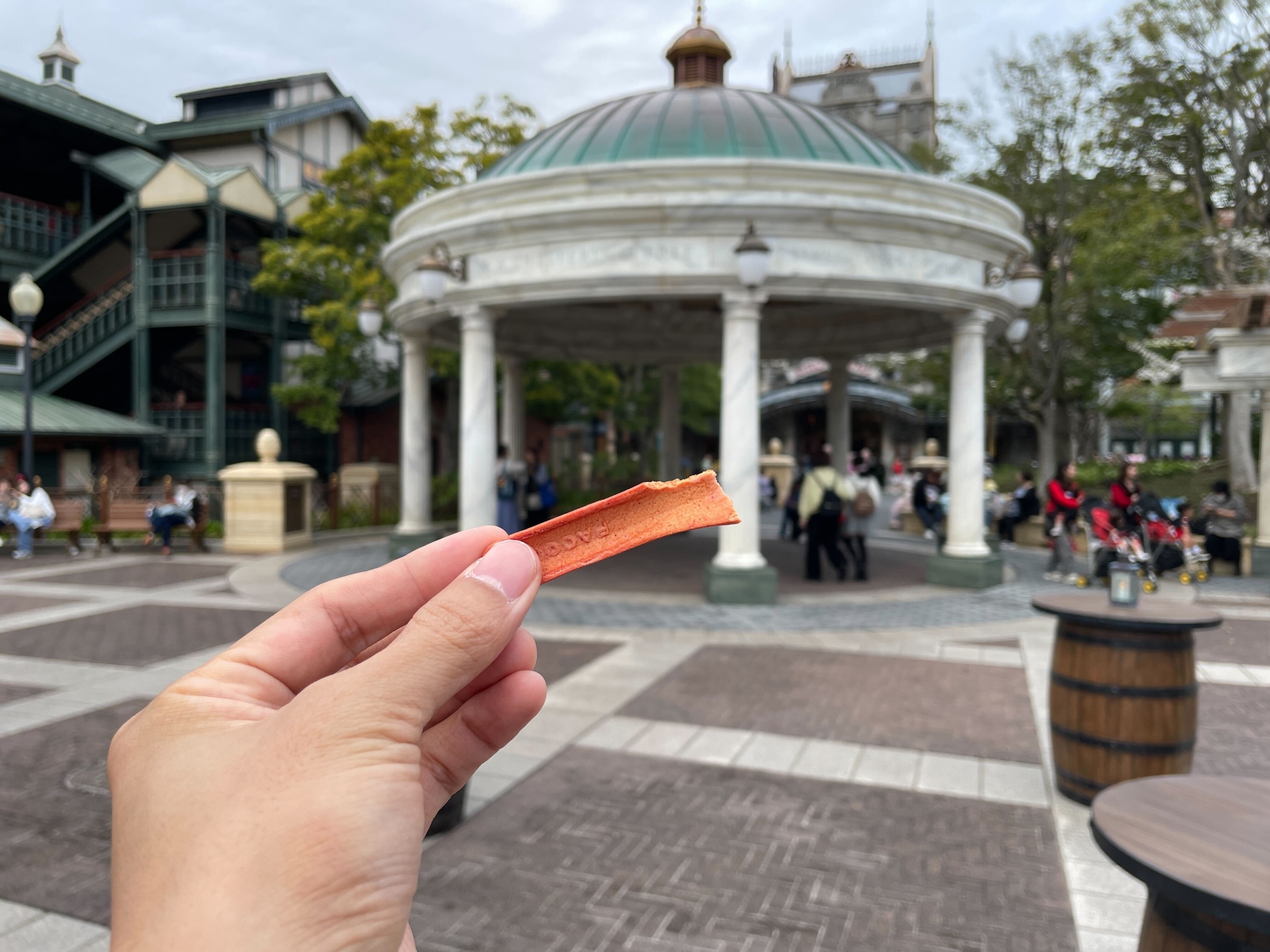 カリッと食べてみる。プレーンなビスケットとしても食べやすい