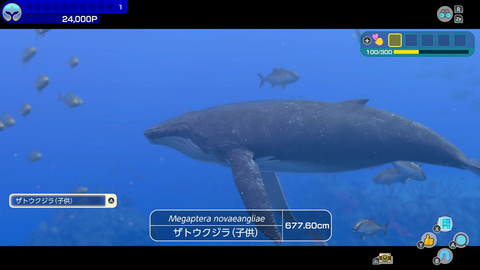 フォーエバーブルー ルミナス」本日発売！ ダイバーとなって自由に海中