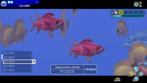 フォーエバーブルー ルミナス」本日発売！ ダイバーとなって自由に海中