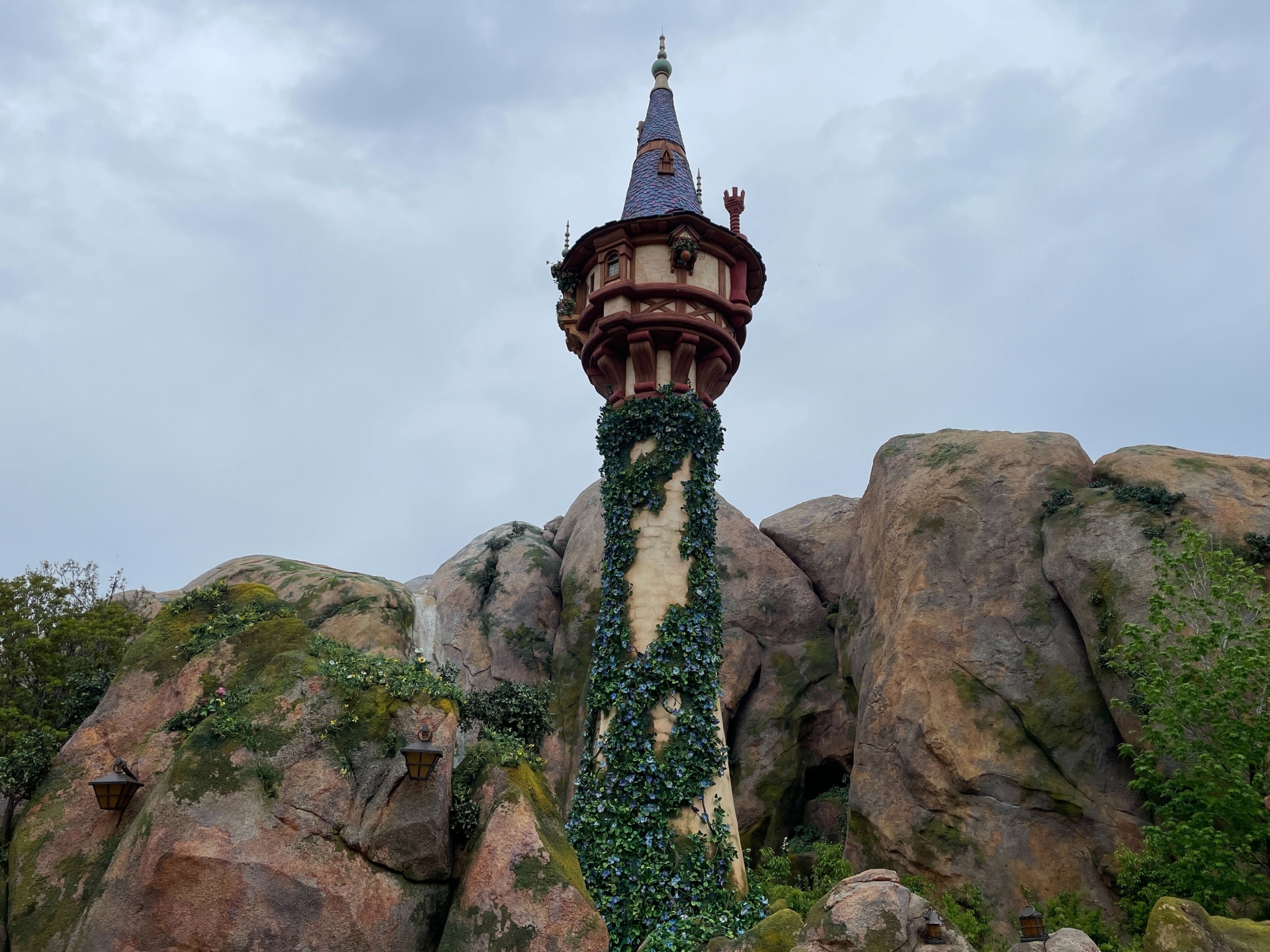 「ラプンツェルの森」