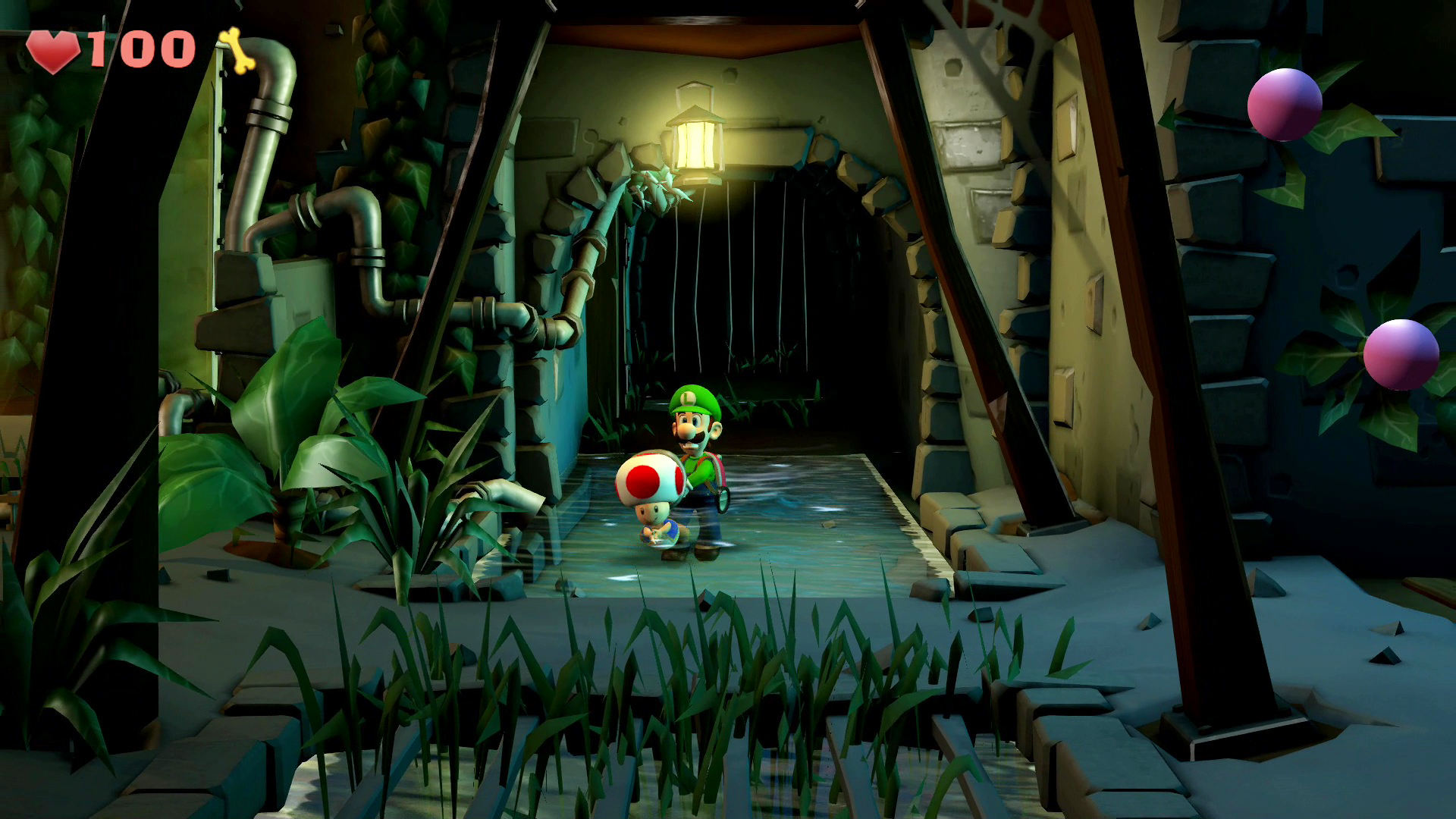 キノピオとの邂逅。ルイージ以上に臆病で同行時も逃げ回るので、オバキュームで掴んで運んであげよう