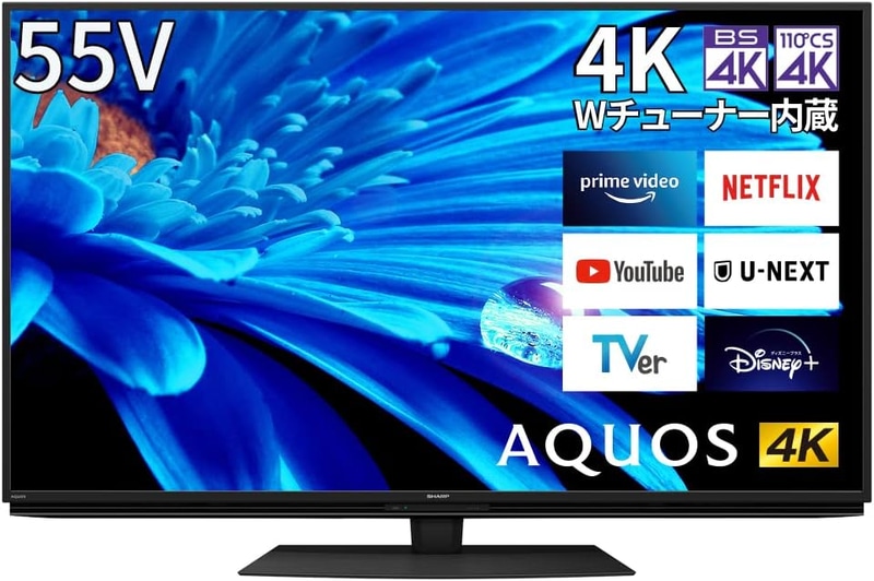 シャープ 55V型 4K 液晶 テレビ AQUOS 4T-C55EN1