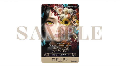 リアルファンタジー・サスペンスADV「岩倉アリア」本日発売！ - GAME Watch