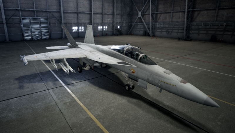 艦隊防空から近接航空支援まで、多彩な任務を遂行可能な艦上戦闘攻撃機。高速度戦闘よりも中速域の運動性能に強みがあり、対地攻撃に有効に働く。F型は大規模改修タイプ。愛称は「スーパーホーネット(スズメバチ)」