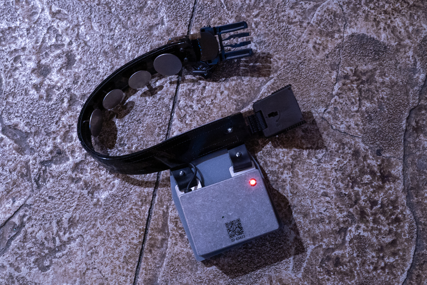 首輪爆弾をつけることになる人生になろうとは。でもなかなかカッコイイ