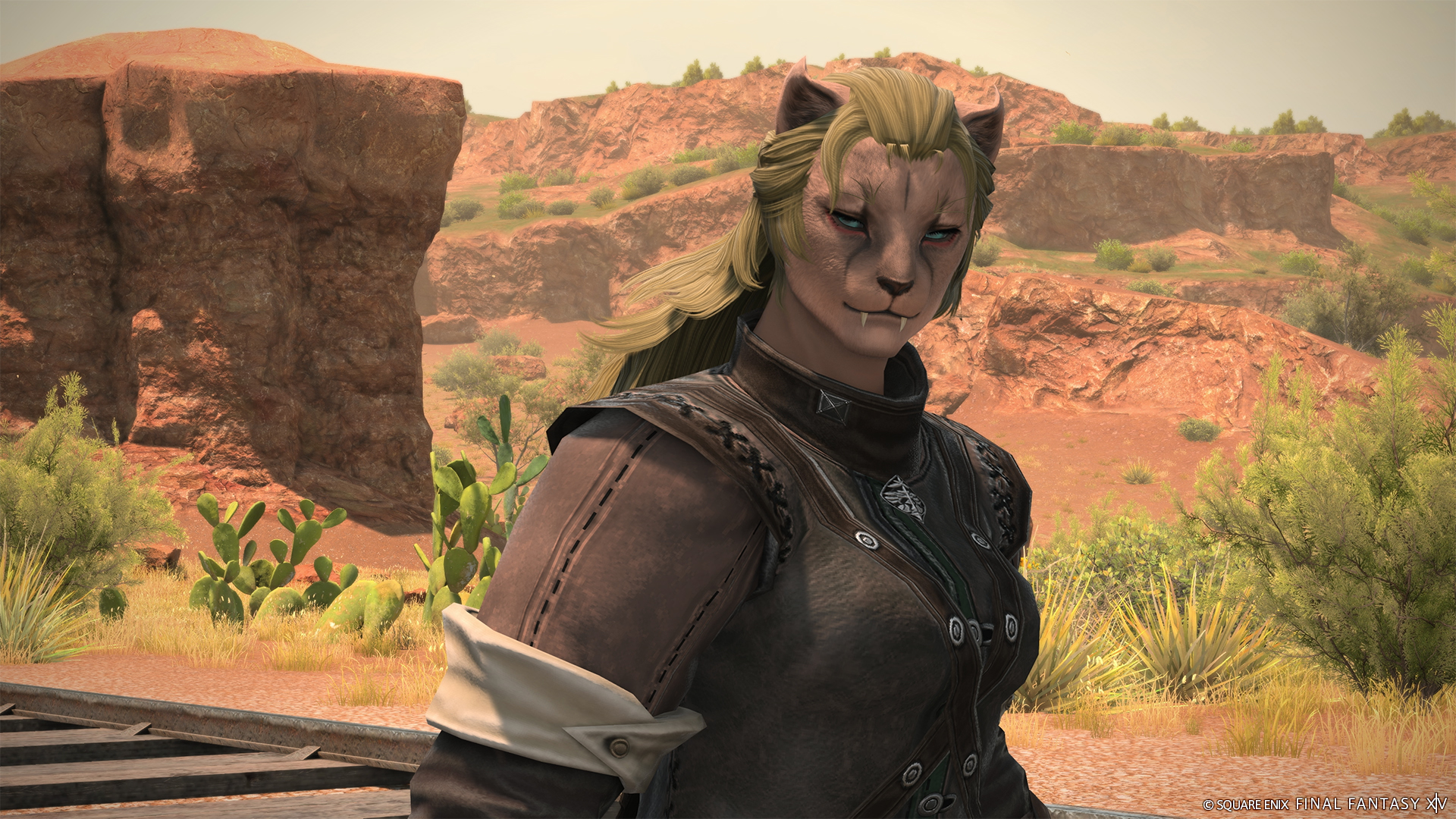 機関車への熱い思いがたぎるニトゥイケに協力して会社を復興させよう