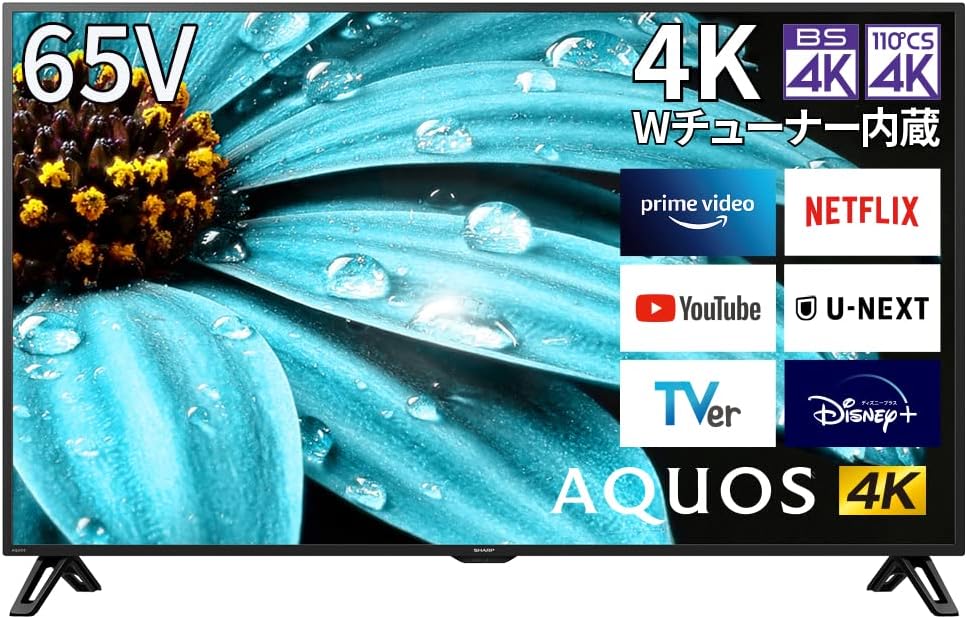 シャープ 65V型 4K液晶テレビ「AQUOS」（4T-C65EJ1）2022年モデル