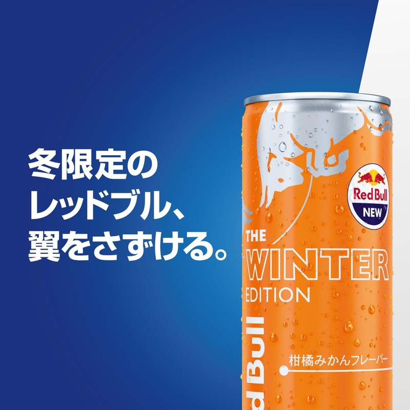 「レッドブル エナジードリンク ウィンターエディション」250ml イメージ
