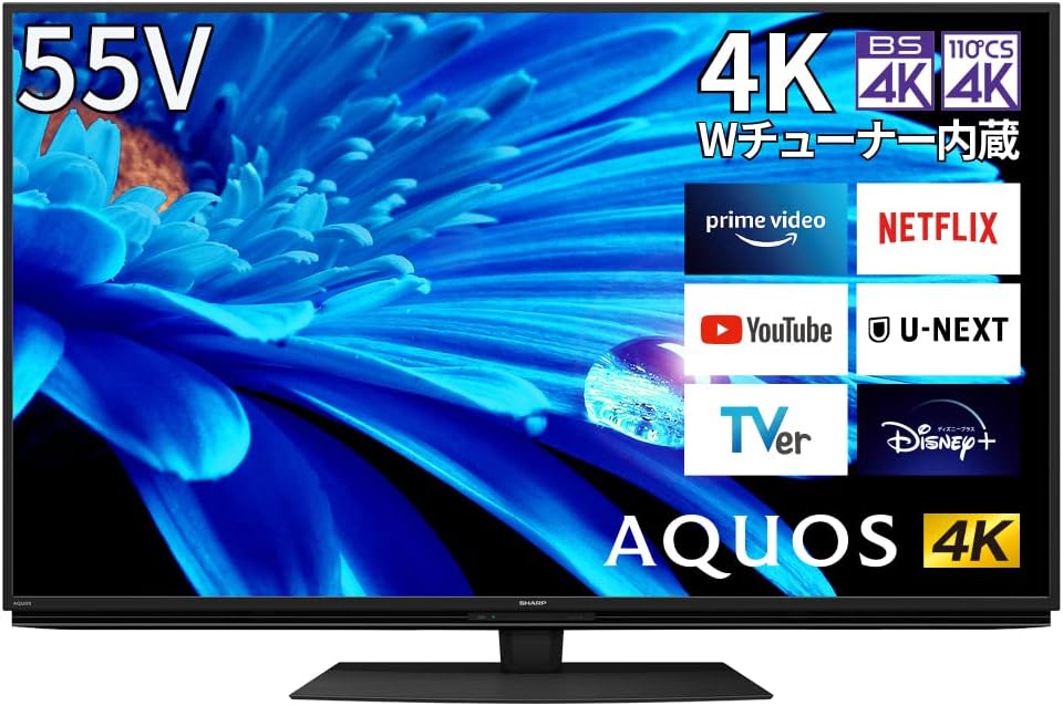 シャープ 55V型 4K 液晶 テレビ AQUOS 4T-C55EN1