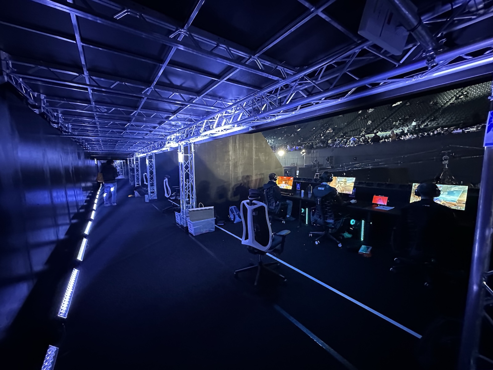 選手たちのプレイエリア