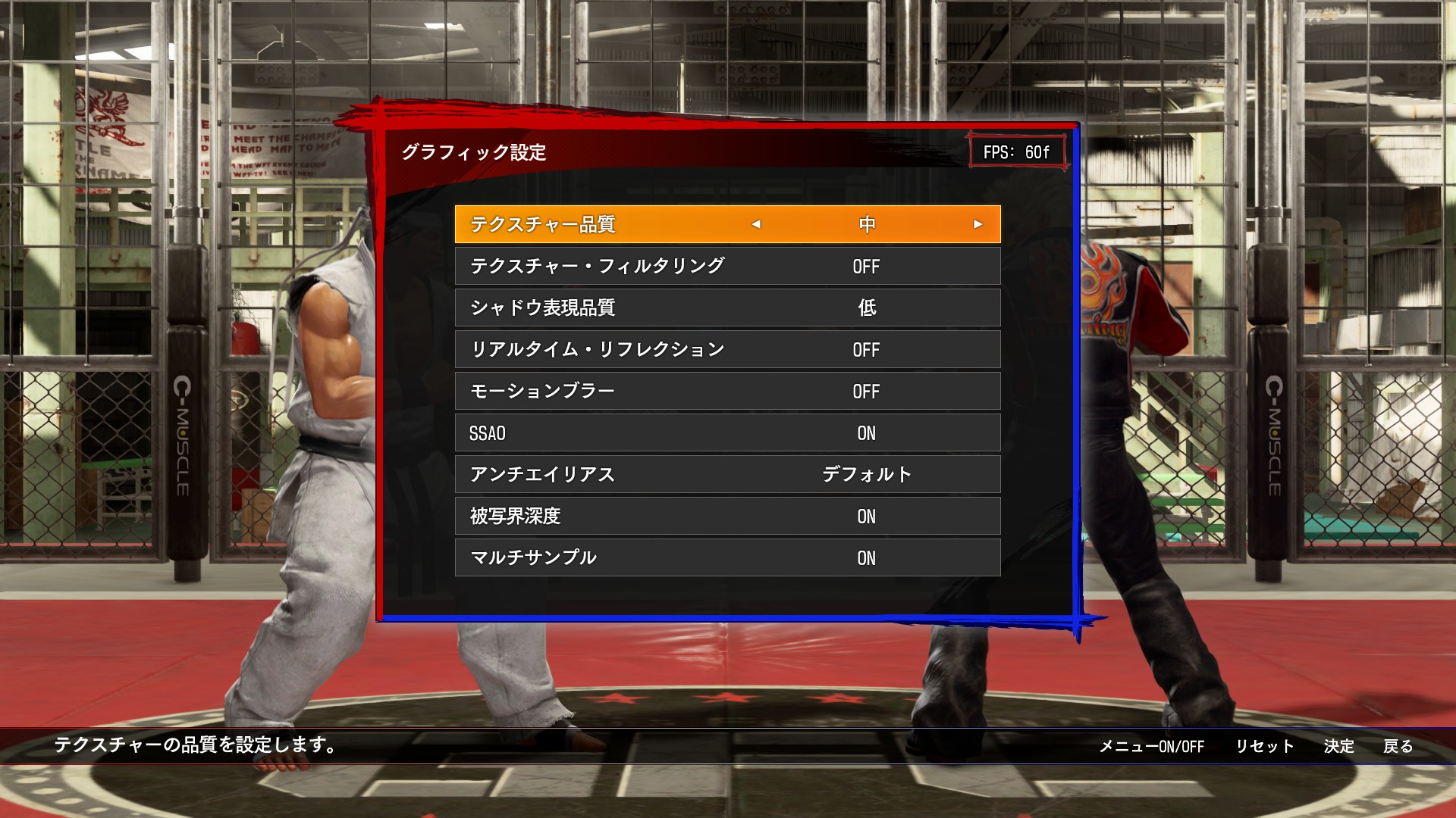 PS4版「VFes」には存在しなかったグラフィック等の描画設定が本作では可能。これによりPCへの負荷を制限すれば、より快適な対戦環境を構築できる。掲載しているものは筆者が設定している描画設定を撮影したもの。このように設定すれば快適な対戦環境も作れるはずなので、各々ベストな設定を見つけてほしい