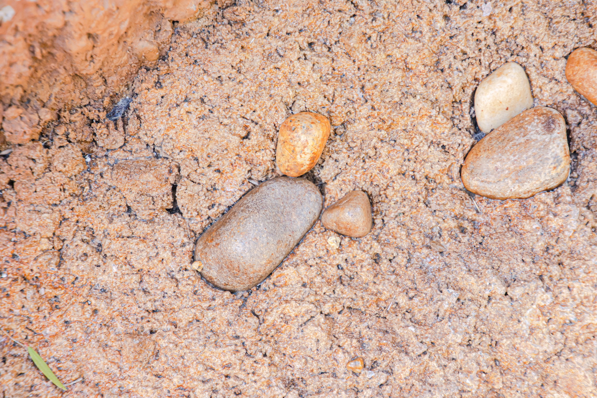 入退場自由となったことで、「ファンタジースプリングス」エリア内の隠れミッキー探しも捗る。これは……なにか違うかも？