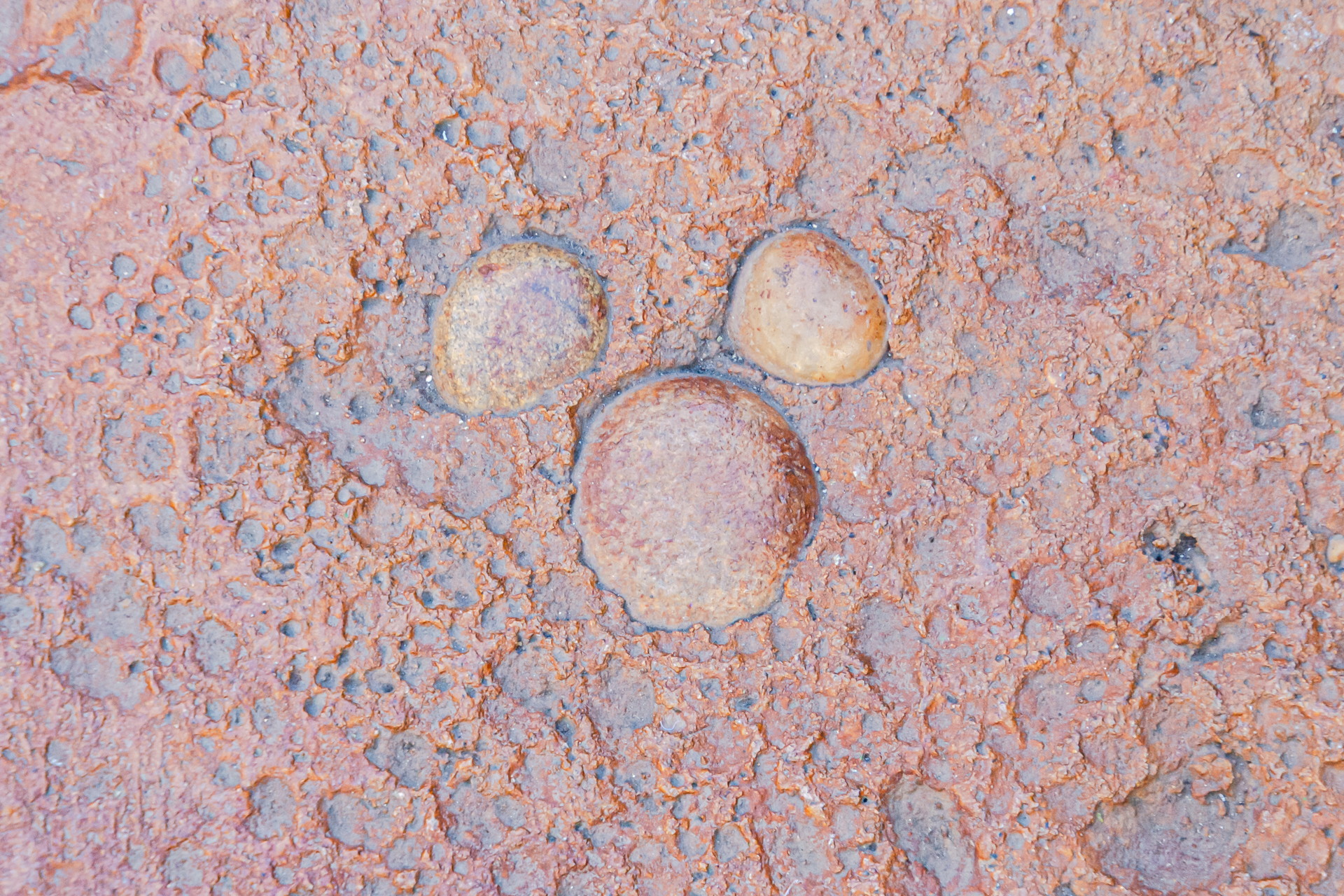 これらは隠れミッキーで間違いないはず！