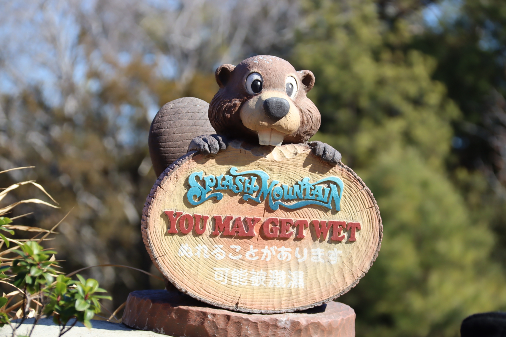 案内や看板、それ以外にも注目していると、クリッターたちの姿を目撃できるだろう