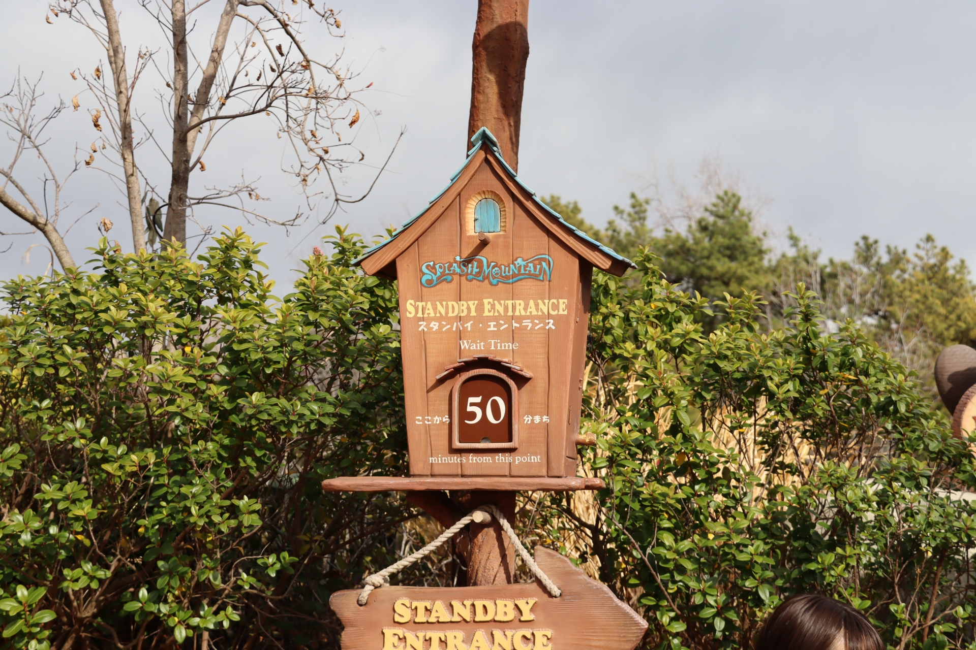 細かいところに目を向ければ向けるほど楽しめるのが「クリッターカントリー」。「スプラッシュ・マウンテン」と合わせて、ぜひ今こそ足を運んでほしい