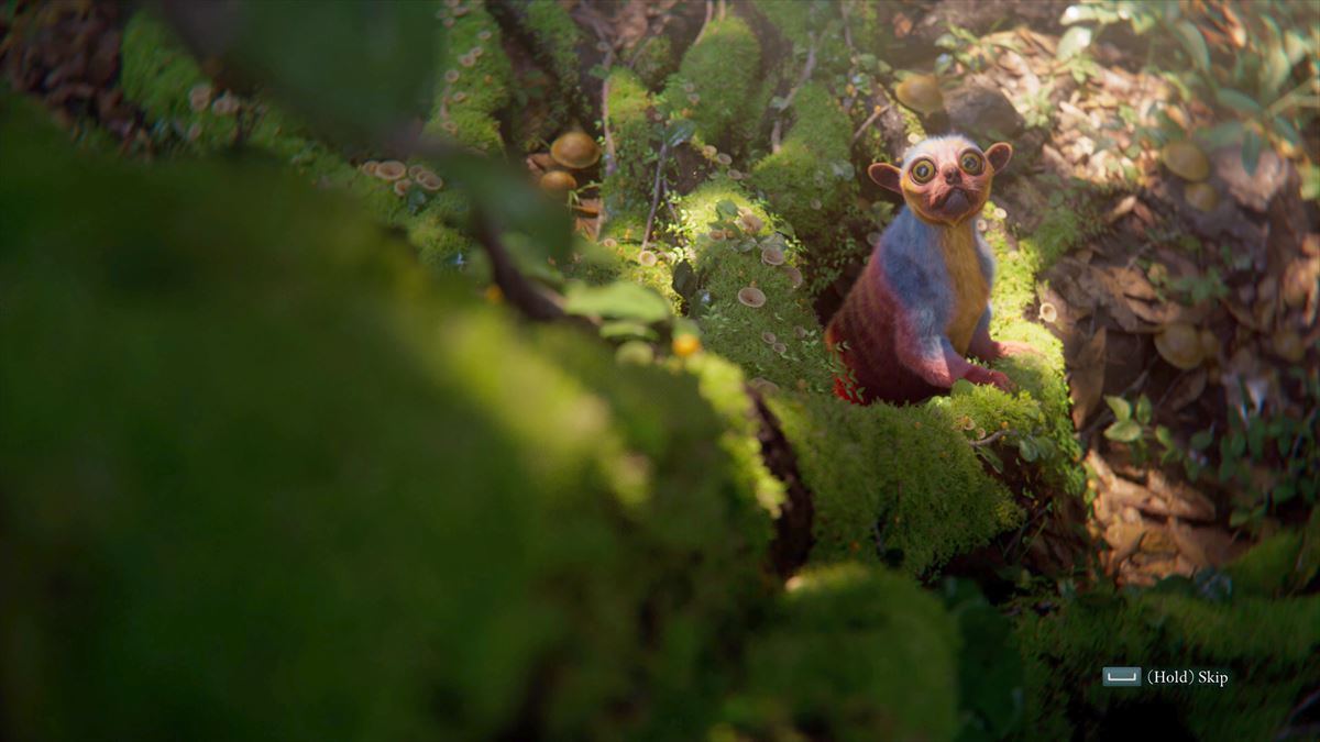 本作の舞台となる「Living Lands」は自然豊かで幻想的な地域となっている