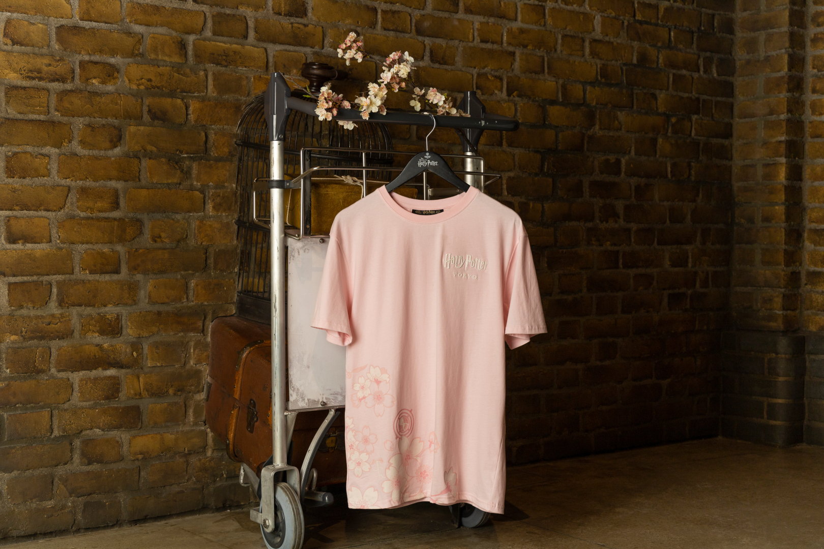 サクラ T シャツ 価格：3,000円