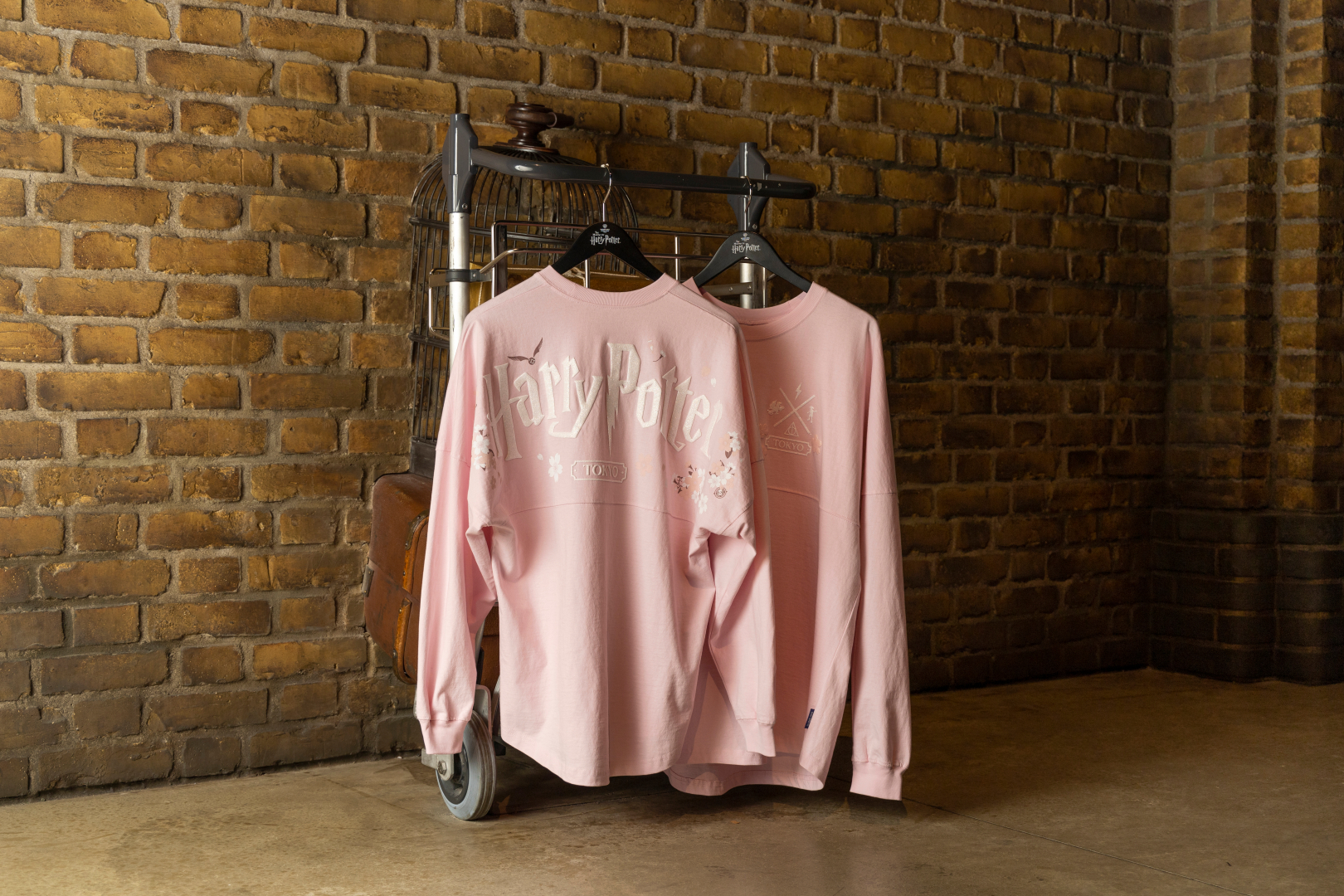 サクラ スピリットジャージ 価格：10,000円