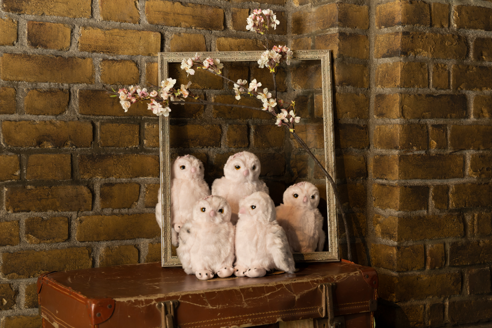 サクラ シロフクロウ ぬいぐるみ 価格：2,600円