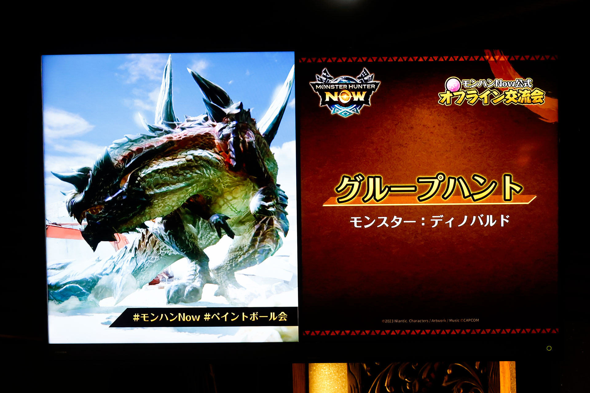 2回目のグループハントのターゲットはディノバルドだ