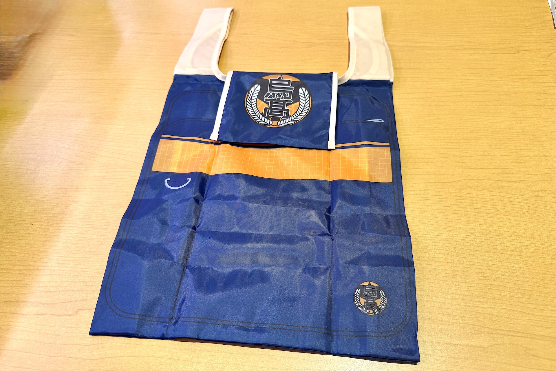 広げるとこんな感じ。畳んで収納できる袋が付いている