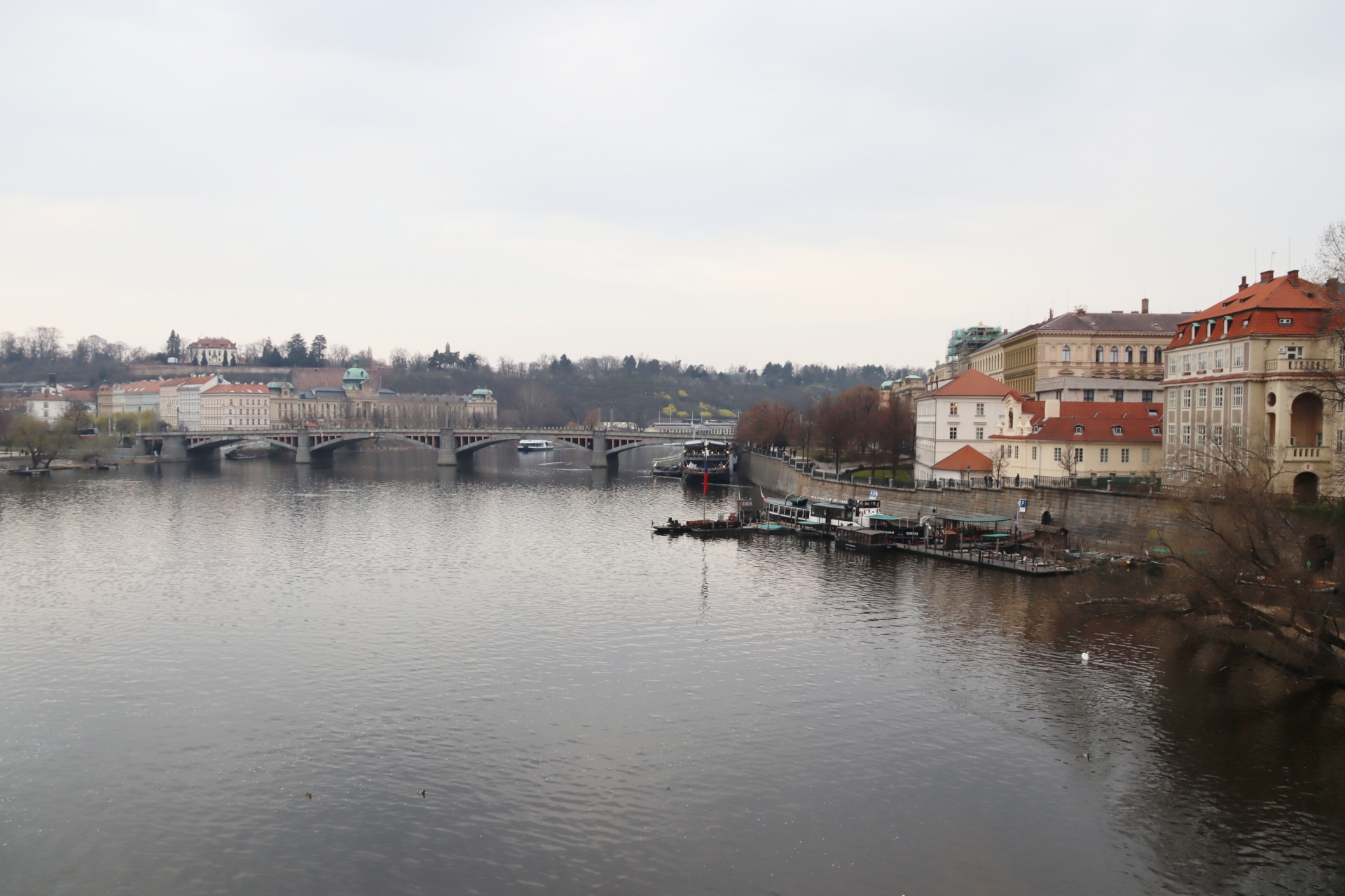 カレル橋からの眺めは優雅かつ美しいので必見