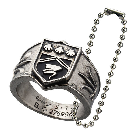 「嵐のリング」