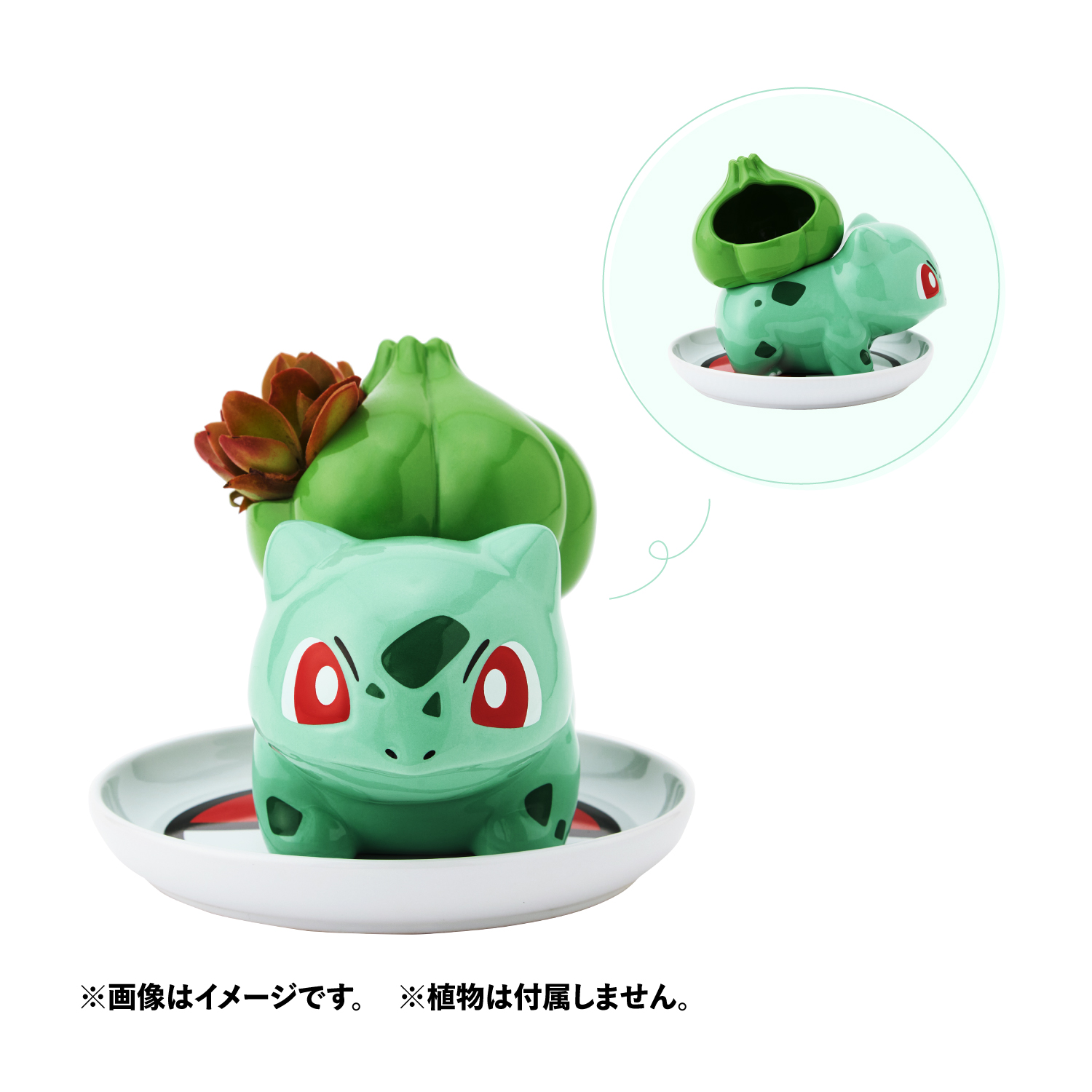 ミニ植木鉢 フシギダネ 価格：4,400円