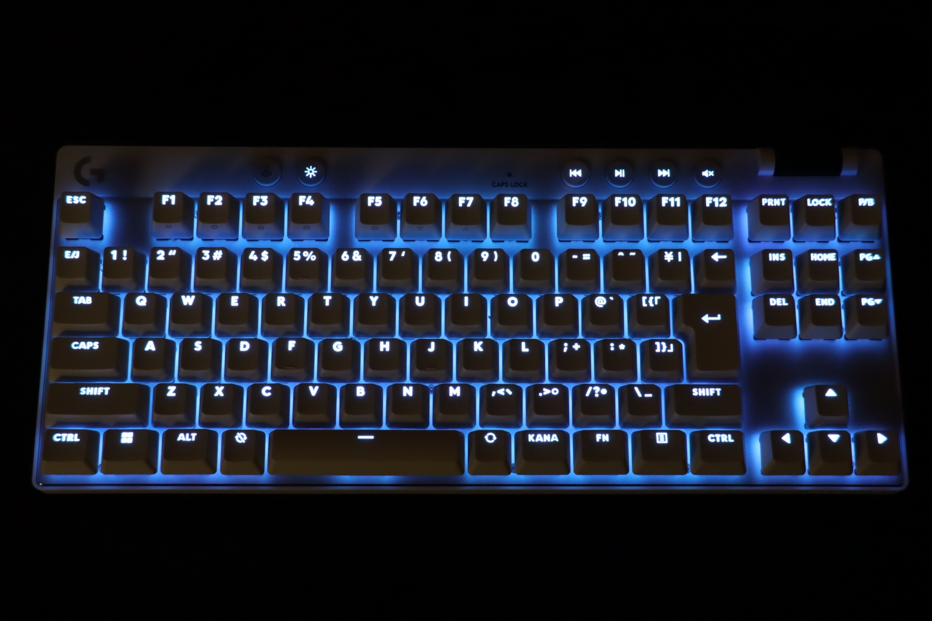 暗がりで光らせたところ。写真だとわかりづらいが、ホワイトカラーなら「薄紫にすると映える」そう