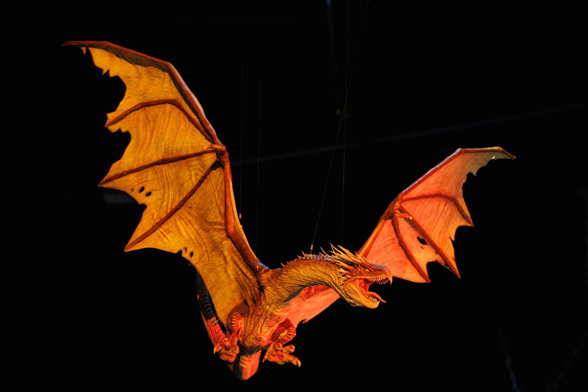 映画本編で使用されたアニマトロニクス模型をベースに再構成されたもので、当時の模型をスキャンし、頭部や翼を3Dでモデリングし直したという