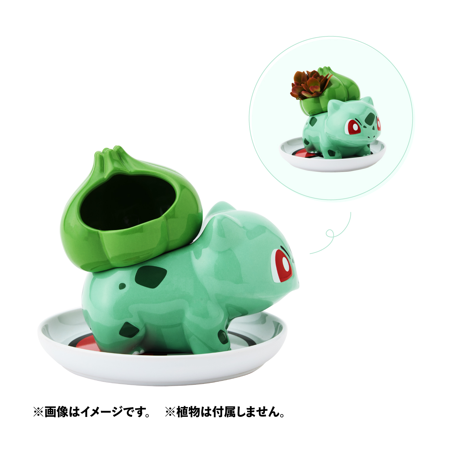 ミニ植木鉢 フシギダネ 価格：4,400円