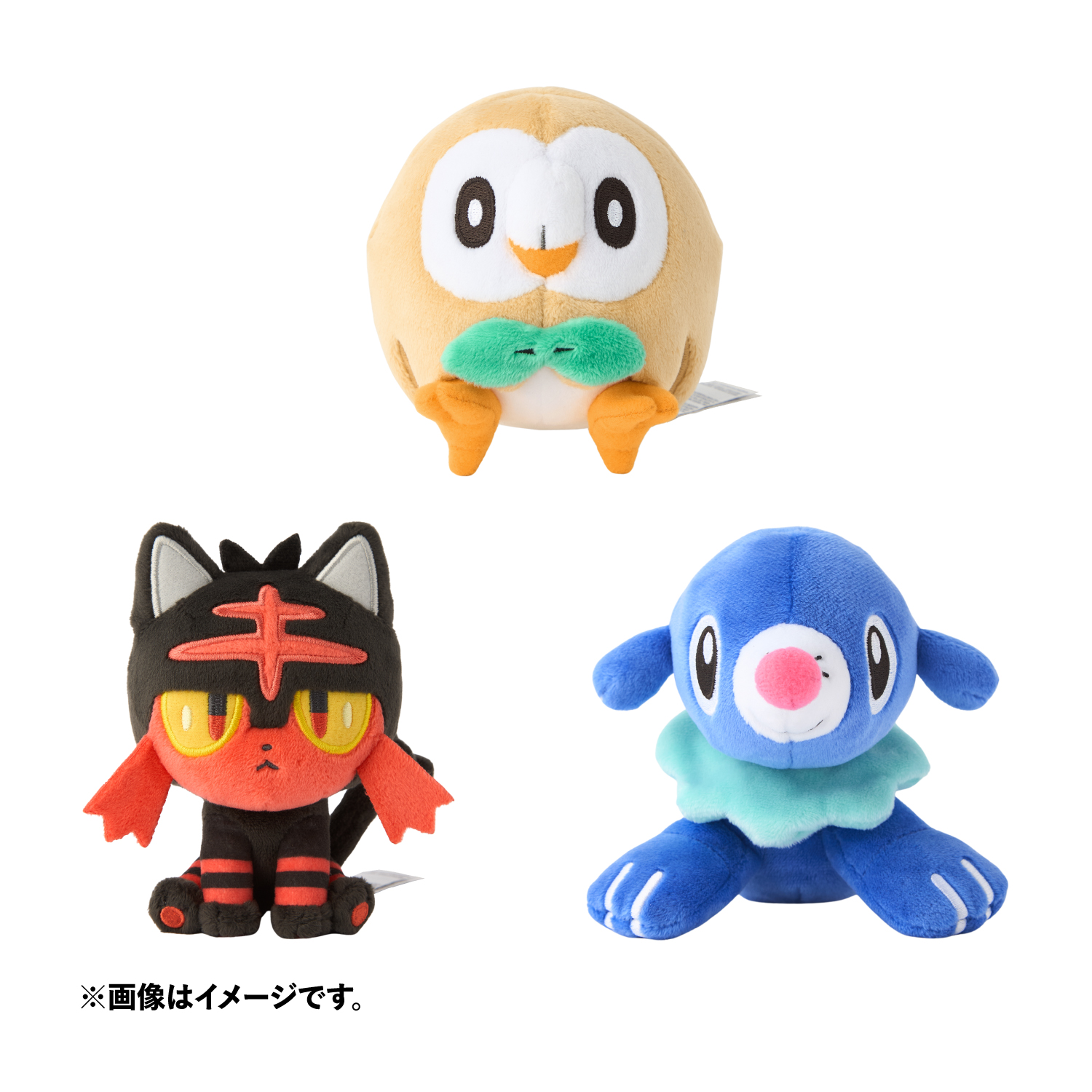 最初のパートナーとなる3匹