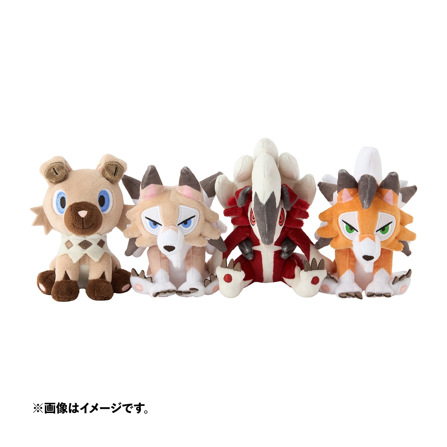 イワンコとルガルガンたち