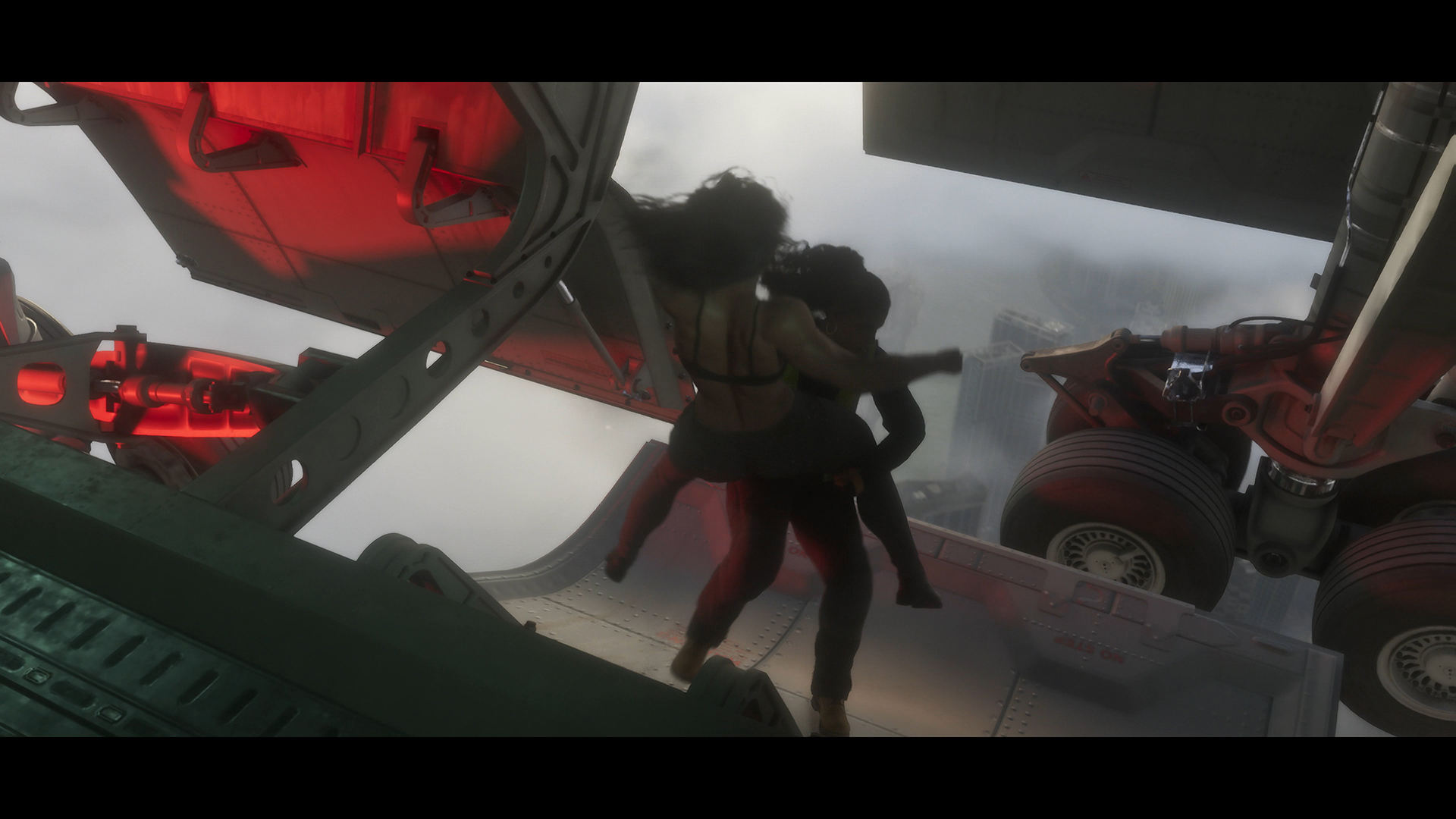 着陸脚を出す飛行機内での取っ組み合い