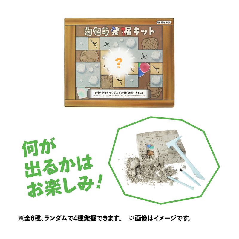 カセキ発掘キット　3,520円