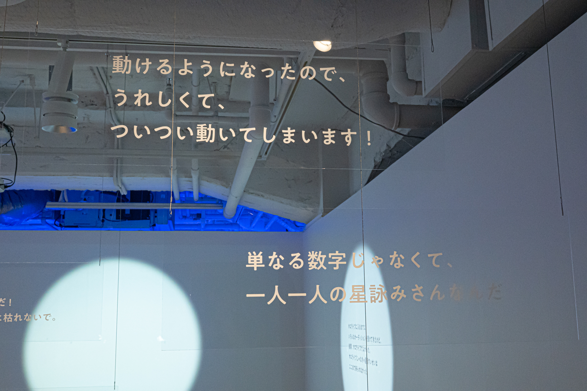 「アルバムを出す」、「新しいことに挑戦する」、「Vtuberを広げたい」と、彼女のエネルギッシュな情動の一端に触れることができる