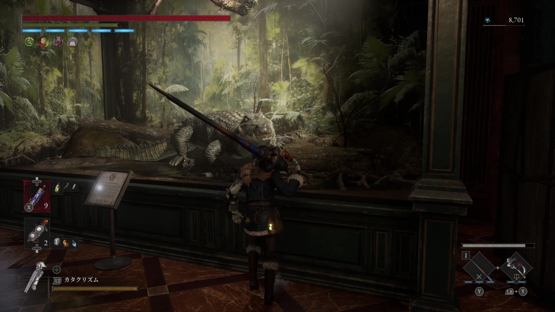 ワニの剥製の展示も