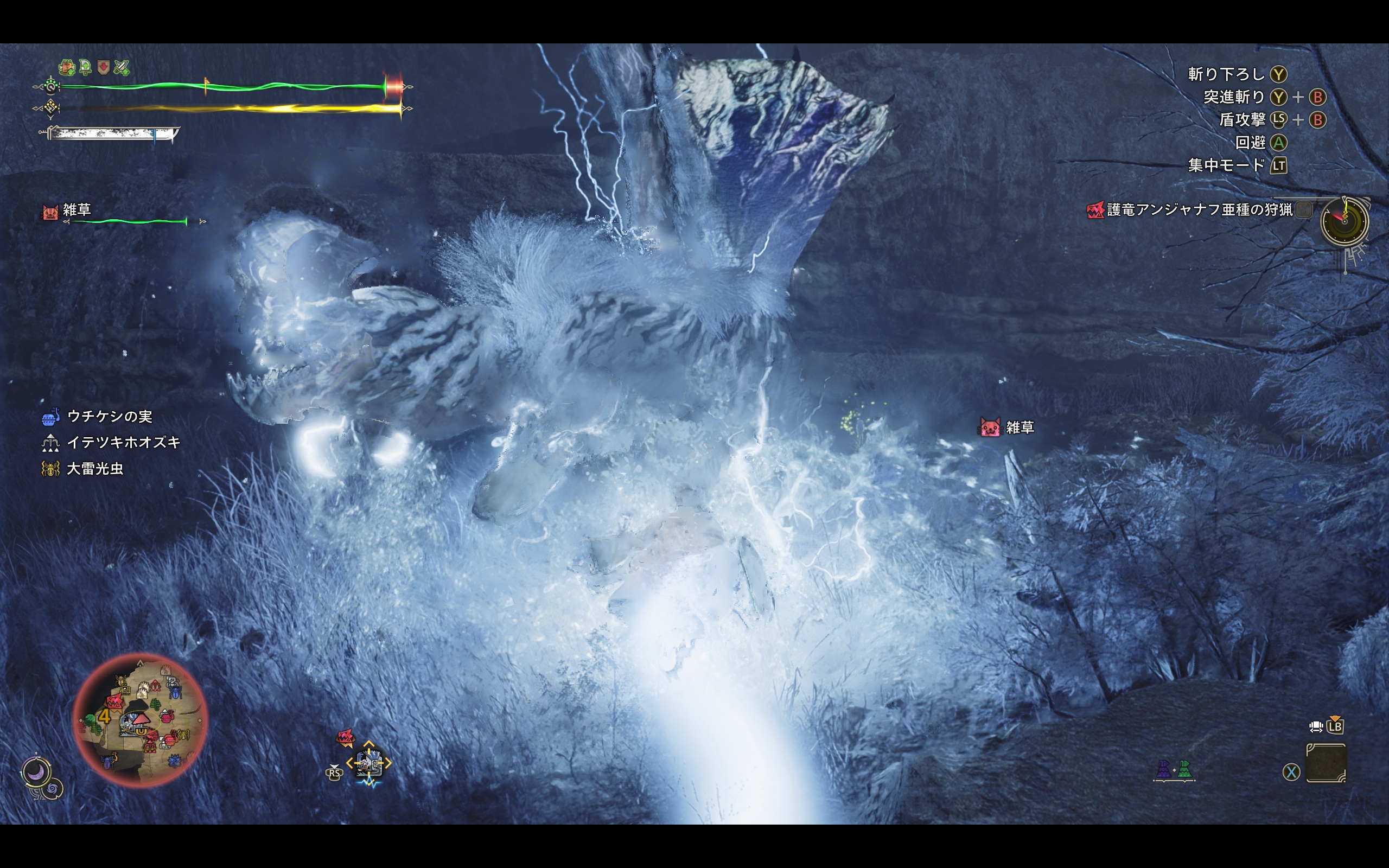 グラフィックスプリセット「高」でのキャプチャ。護竜アンジャナフ亜種は高火力の雷属性攻撃をしてくる