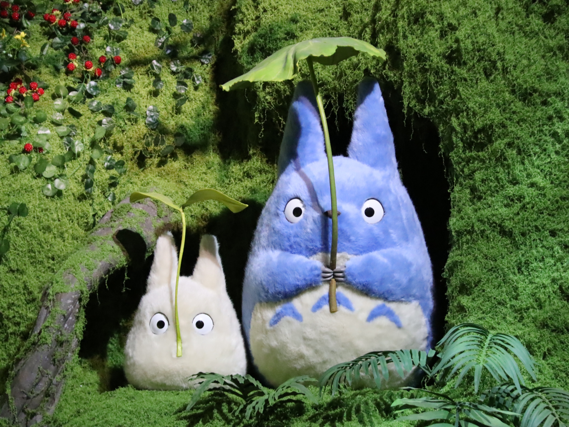 となりのトトロ