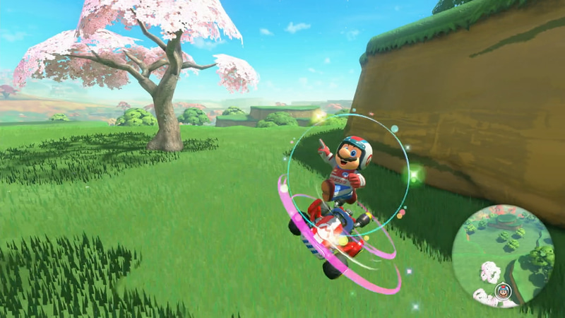 桜が美しいポイント