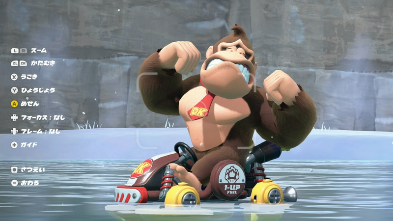 表情がとにかく写真映えするドンキーコング。とてもいい表情……