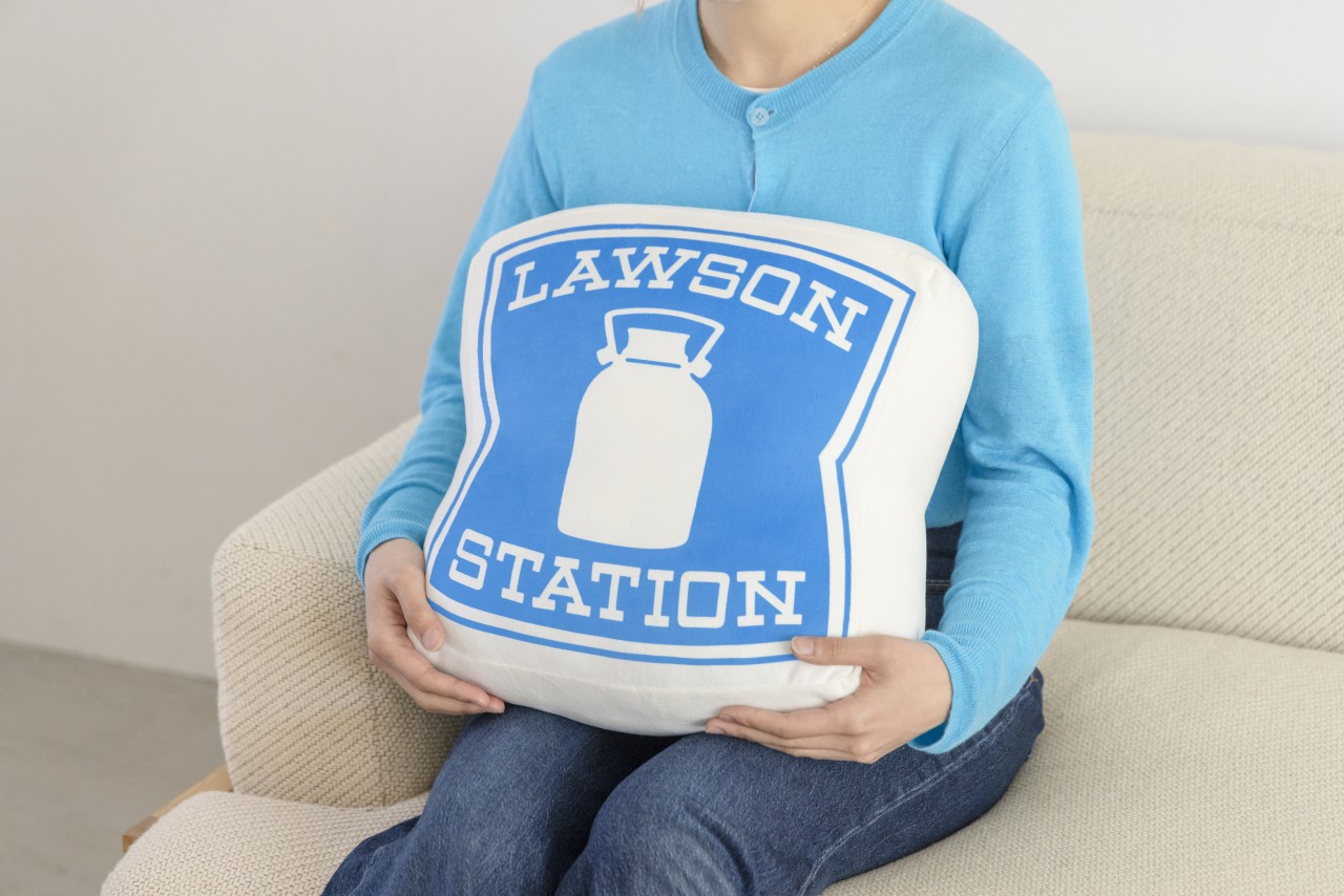 触り心地のいいクッションは腕にすっぽり収まるサイズ