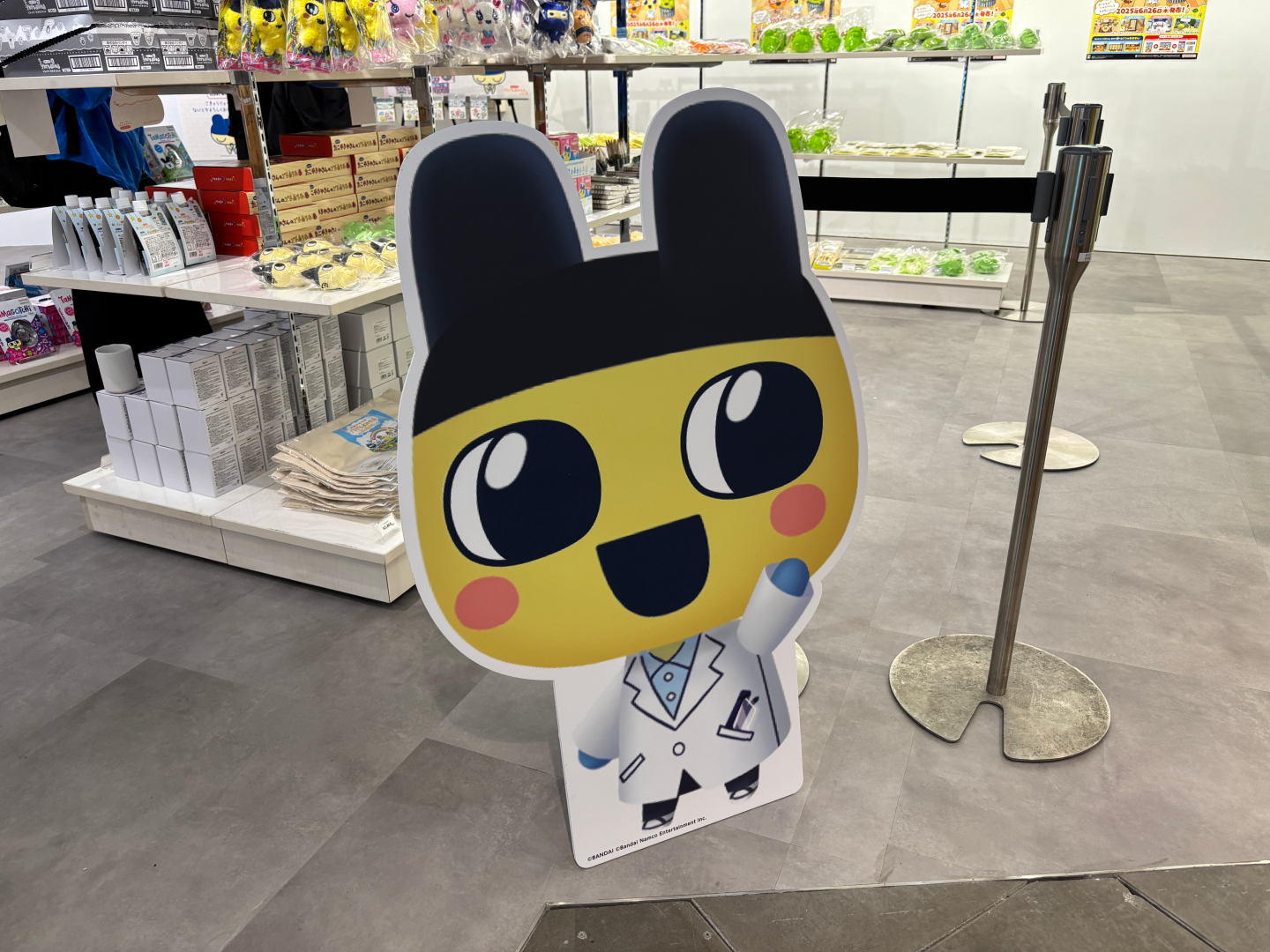 まめっちたちのパネルなどフォトスポットも！