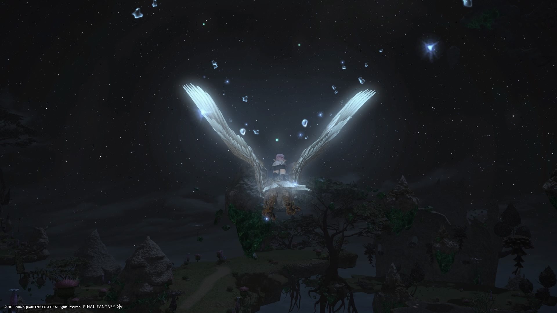 フライングマウントでの旅は、プレーヤーに最高の体験をもたらしてくれた