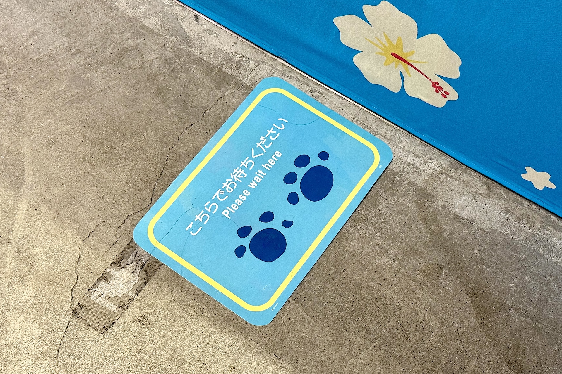 入口の待機列にはスティッチ？の足跡を発見