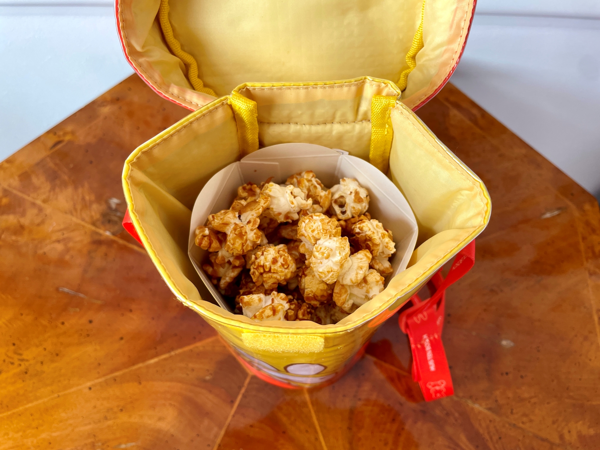 紙ケースごとすっぽり入る。内側は少しクッション性のあるつくり